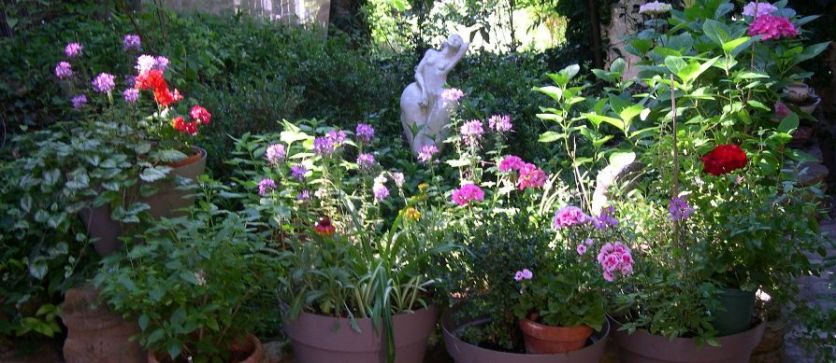 Expo au Jardin de Michel